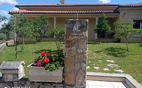 Casa Da Floresta